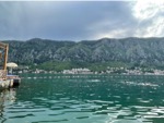 resIMG_20220528_172336_IMG_8181_HEIC.jpg
